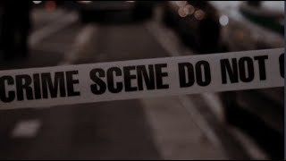 youre investigating the biggest crime scene in a century a playlist [upl. by Marijn]