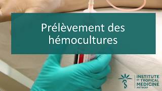 Prélèvement des hémocultures V1 [upl. by Lucania958]