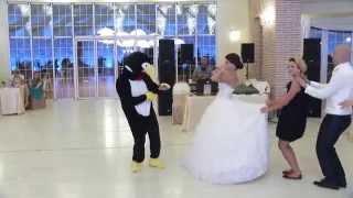 La danse du pingouin  Pinguin dance HD [upl. by Gail335]