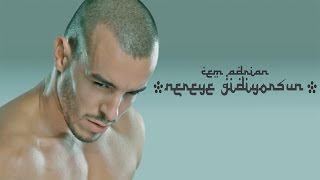 Cem Adrian  Nereye Gidiyorsun Official Audio [upl. by Hemetaf]