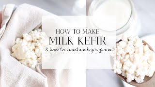 HOW TO MAKE MILK KEFIR  Tips for Maintaining Kefir Grains [upl. by Poirer]