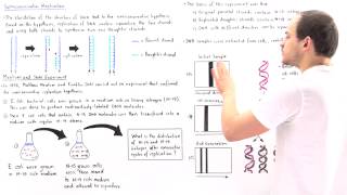 Meselson and Stahl Experiment [upl. by Htebasile]