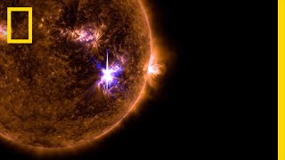 Sun Blasts Out Biggest Solar Flare in Decade  National Geographic [upl. by Denten977]