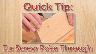 Quick Tip Fix a Protruding Screw [upl. by Thornie]