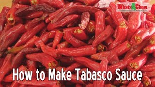 Lactofermented Hot Sauce  Easy Homemade Tabasco Sauce  Simple TabascoStyle Chili Sauce [upl. by Patrizio218]