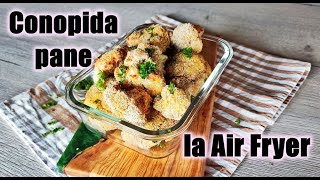 CONOPIDA PANE LA AIR FRYER [upl. by Melamie754]