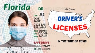 State Drivers licenses  Incredible Designs  All 51 State Licences [upl. by Lyle]