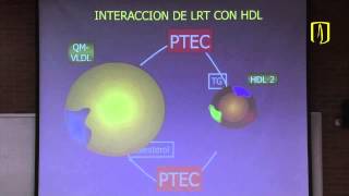 Metabolismo de lípidos  Bioquímica médica [upl. by Enerak967]