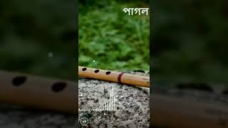 Best Bansuri ringtonebangla Bashir sur [upl. by Marcos]