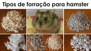 Tipos de forração para hamsters [upl. by Ziladnerb]