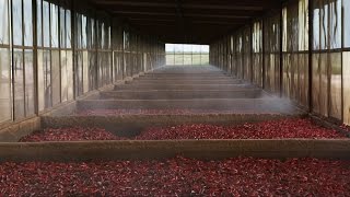 TABASCO® Chipotle Sauce Mexican heritage meets Louisiana tradition [upl. by Maer]