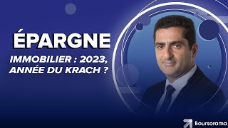 Immobilier  2023 année du krach [upl. by Ennairoc]