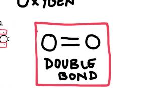 Double and Triple Covalent Bonds [upl. by Tara597]