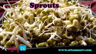 How to Prepare Sprouts at Home in telugu లేత మొలకలు తయారీ  by Attamma TV [upl. by Meredi]