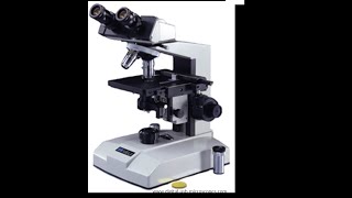 Micro Lab 3 Introduction to Compound Light Microscopy [upl. by Nylorac446]