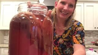 How to Make Kombucha using herbal tea [upl. by Britteny]