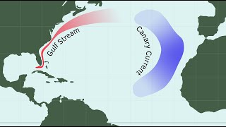 Western Boundary Intensification  Ocean currents [upl. by Amar476]