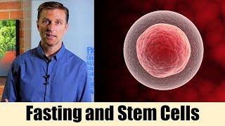 Using Fasting to Enhance Stem Cells – Dr Berg On Intermittent Fasting amp Cell Regeneration [upl. by Acsehcnarf770]