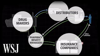 How Drug Prices Work  WSJ [upl. by Eterg]