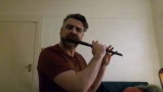 Irish Traditional Flute Music [upl. by Waters740]