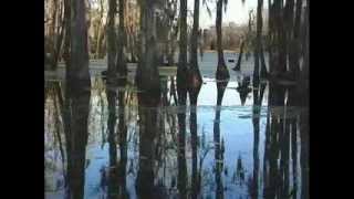 Magnolia Plantation  A Video Tour [upl. by Avonasac]