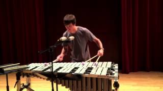 Dreams for Vibraphone Solo  Daniel Hafenstein [upl. by Welby821]