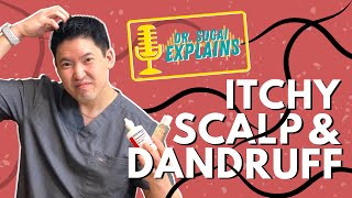 Dr Sugai Explains Itchy Scalp and Dandruff What Shampoos to Consider [upl. by Loggins588]