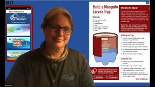 Build a Mosquito Larvae Trap [upl. by Akiret]