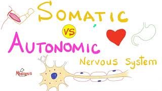 Somatic Symptom Disorder  Symptoms and Management [upl. by Long]