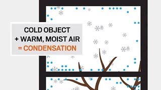 Understanding Condensation  Andersen Windows [upl. by Althee940]