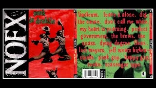 NOFX  Punk in Drublic  FULL ALBUM [upl. by Einnep904]