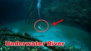 Cenote Angelita  Underwater River Mexico 🇲🇽 [upl. by Maida576]