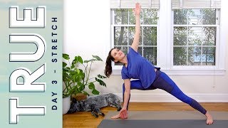 TRUE  Day 3  STRETCH  Yoga With Adriene [upl. by Milt]