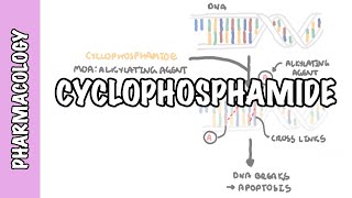 Drug Facts Series Fact 2 Allopurinol  Azathioprine DrugDrug Interaction [upl. by Stanislaw]