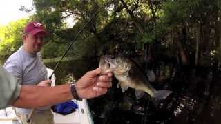 Lets go Fishing in Palatka FL on the St Johns River [upl. by Jared580]