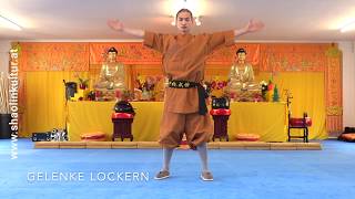 Shaolin Kung Fu  Aufwärmen und Basisübungen [upl. by Garin226]