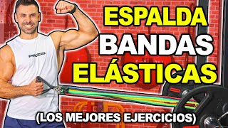 🔴 Los MEJORES Ejercicios BANDAS ELASTICAS  Fortalecer ESPALDA [upl. by Chandos]