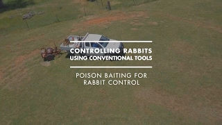 Poison baiting for rabbit control [upl. by Ransom]