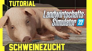 LS 22 Schweine Tutorial Kurz leicht und verständlich erklärt [upl. by Ynnaej]