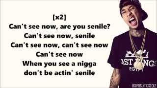 Young Money  Senile feat Lil Wayne Nicki Minaj amp Tyga LYRICS [upl. by Ainezey490]