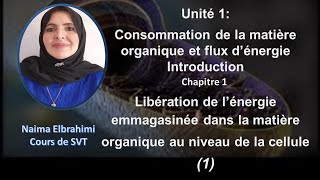 Cours SVT 2 Bac Biof Unité 1  Consommation de la matière organique et flux d’énergie partie 1 [upl. by Dorcia]