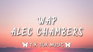 Wap Cover by alec chambers its Wap TikTok Song [upl. by Torin754]