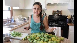 Dont FRY those GREEN TOMATOES [upl. by Skylar]