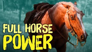 Red Dead Redemption 2 Horses  Everything You Need To Know [upl. by Marlin829]