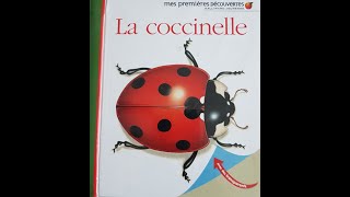 La coccinelle  album documentaire [upl. by Tebor]