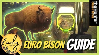 Hunting Euro Bison in Hirschfelden  European Bison Guide  Hunter Call of the Wild  Hot Spots [upl. by Selma]