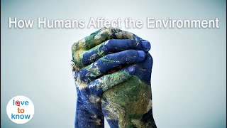 How Do Humans Affect The Environment [upl. by Ynnavoj]