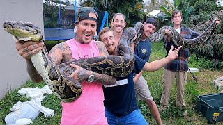 World Record Invasive Burmese Python caught in South Florida [upl. by Nnylrac]