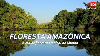 Floresta Amazônica Fauna e Flora [upl. by Gignac]