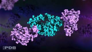 HIV Protease Action [upl. by Moule6]